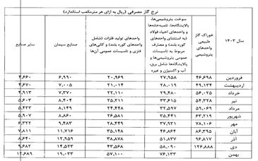 ماجرای افزایش هزینه انرژی و خوراک گاز صنایع چه بود/ رشد ۴۲ درصدی نرخ گاز شرکت‌های فولادی