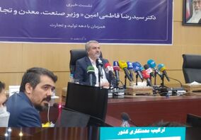 سهم ۵۰ درصدی عملیات معدنی در سنگ آهن