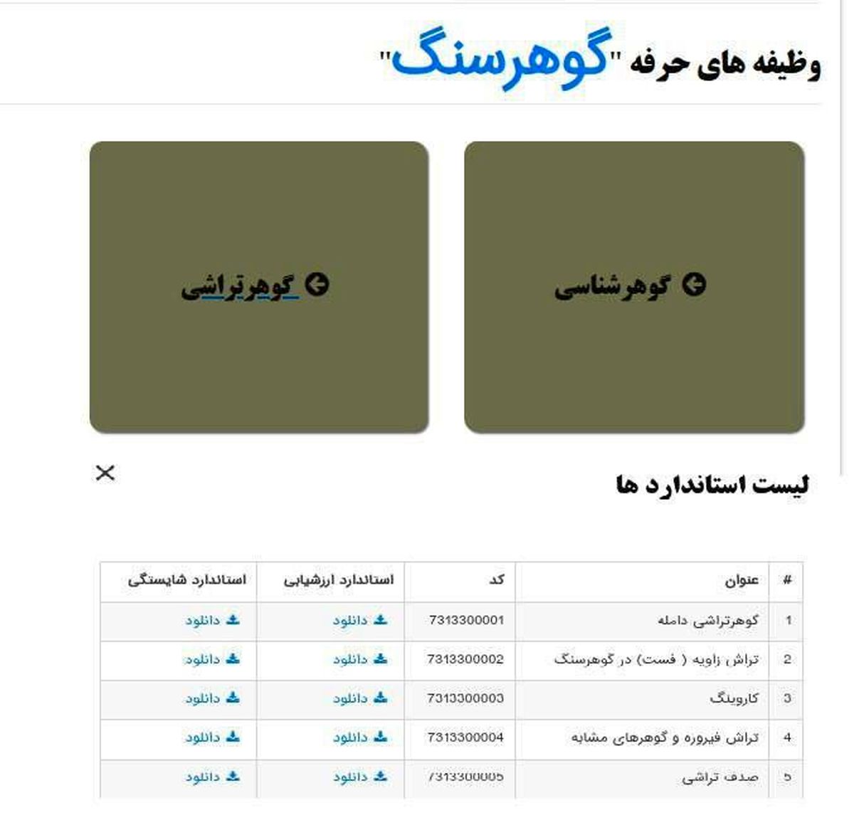تدوین استانداردهای سند حرفه گوهرتراشی