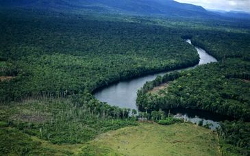 طلا، کلتان و الماس؛ منطقه معدنی اورینوکو، جبهه جدید واشنگتن در ونزوئلا