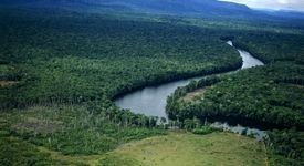 طلا، کلتان و الماس؛ منطقه معدنی اورینوکو، جبهه جدید واشنگتن در ونزوئلا