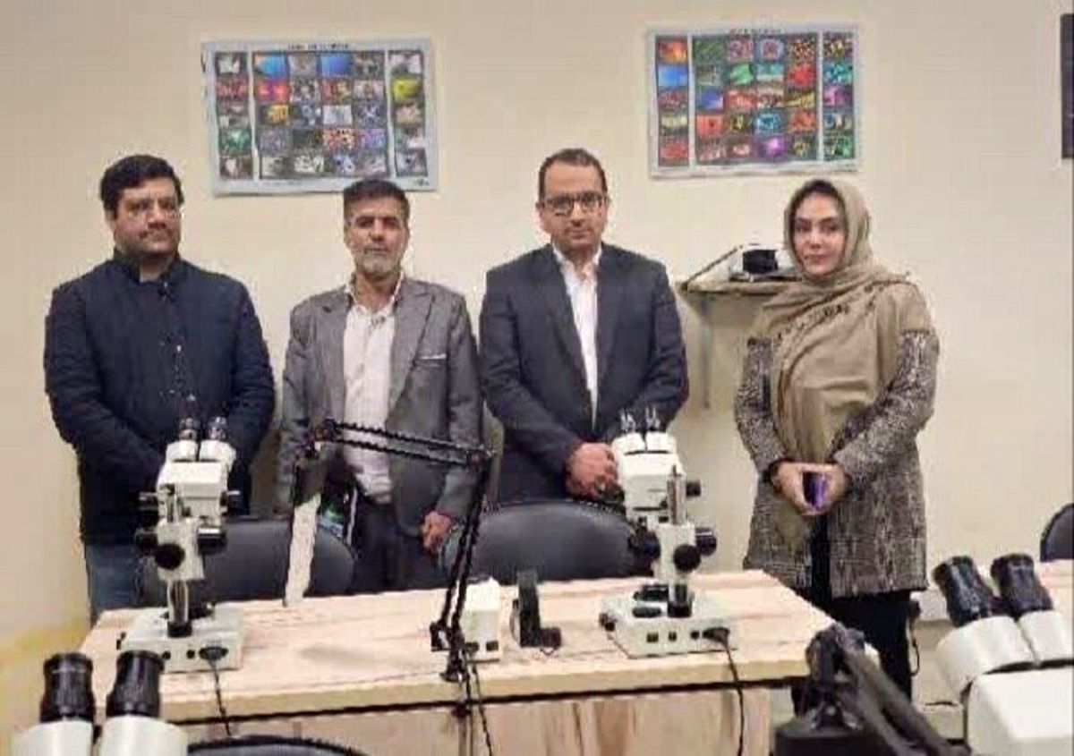 نماینده مجلس: سهم ایران از صنعت گوهرتراشی جهان نیم درصد است