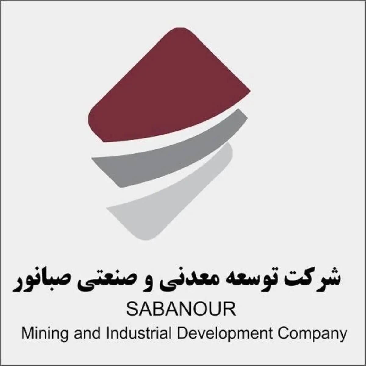 معاون اقتصادی و مالی هلدینگ صبانور منصوب شد
