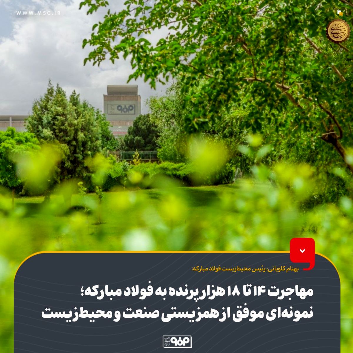 مهاجرت 14 تا 18 هزار پرنده به فولاد مبارکه؛ نمونه‌ای موفق از همزیستی صنعت و محیط‌زیست