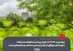 مهاجرت 14 تا 18 هزار پرنده به فولاد مبارکه؛ نمونه‌ای موفق از همزیستی صنعت و محیط‌زیست