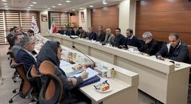 وضعیت پیشرفت پروژه گندله‌سازی کردستان و پروژه بخار نیروگاه سمنان