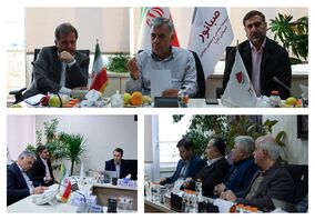 اسماعیلی: تأخیر حتی یک ساعت در پروژه کنسانتره آهن گلالی توجیه ندارد / تأمین مالی بدون محدودیت انجام می‌شود