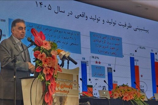 مدیرعامل سرمایه‌گذاری توسعه معادن و فلزات: تداوم روند فعلی، صنعت فولاد را با کاهش رقابت‌پذیری و از دست رفتن سهم بازار مواجه می‌کند

