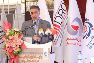 سعدمحمدی: کاهش حاشیه سود، زنگ خطر برای سرمایه‌گذاری در زنجیره فولاد است

