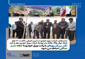 نگین فیروزه‌ای ورق خودرو با حلقه سبز جنگلی احاطه می‌شود 