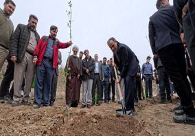 همراهی مسئولان با پویش مردمی «ریشه در وطن داریم»