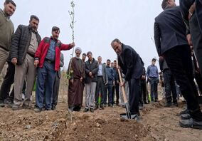 همراهی مسئولان با پویش مردمی «ریشه در وطن داریم»