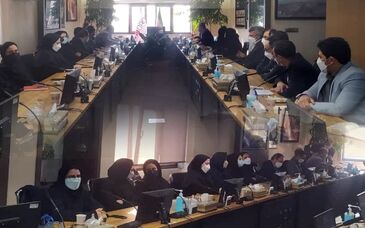 رشد و تعالی ایمیدرو، نیازمند نگاه جدید به ساختار آن است/نخلک؛ نمونه موفق تغییر نگاه