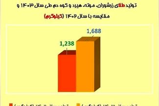 رشد چشمگیر تولید طلا در شرکت‌های زیرمجموعه ایمیدرو