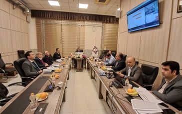 کلیات طرح افزایش ظرفیت کارخانه فولاد سبزوار در کمیته سرمایه‌گذاری هلدینگ به تصویب رسید