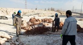 همایش محیط‌زیستی و زنگ 5S در شرکت آلومینای ایران برگزار شد