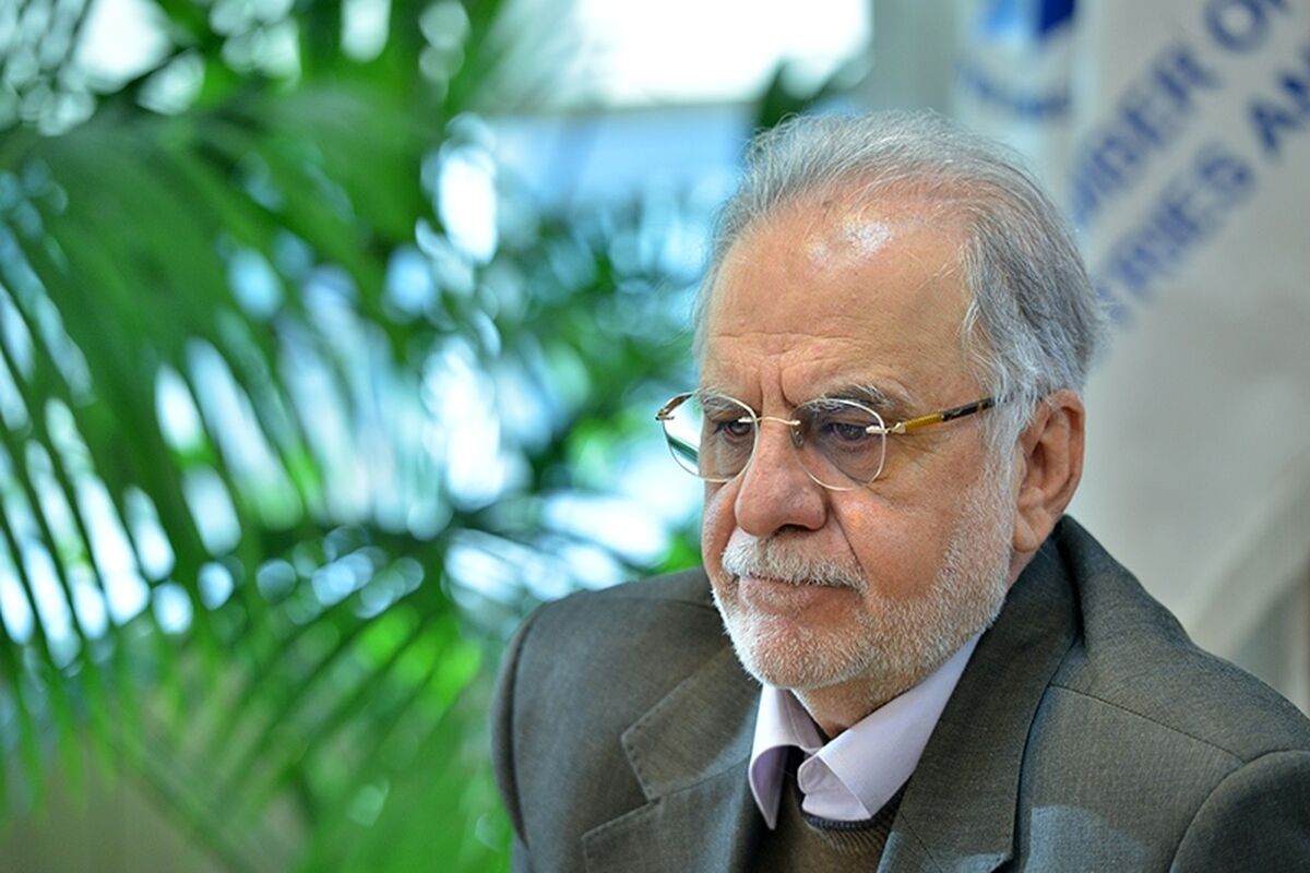 در سیاست خارجی باید تصمیم های جسورانه گرفته شود/ راه نجات اقتصاد کشور جذب سرمایه گذاری خارجی است