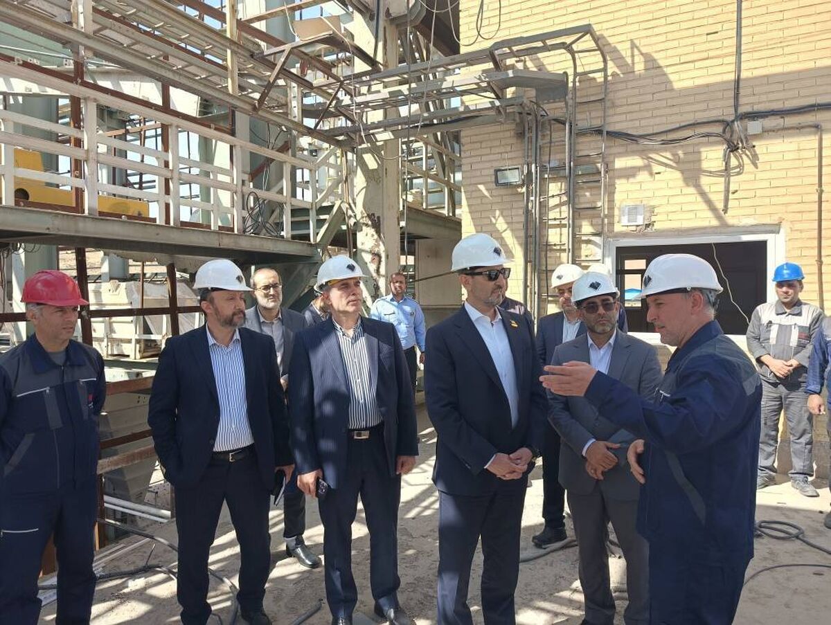 تأکید رئیس هیأت عامل ایمیدرو بر بازسازی و تقویت تولید مواد معدنی راهبردی


