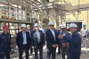 تأکید رئیس هیأت عامل ایمیدرو بر بازسازی و تقویت تولید مواد معدنی راهبردی

